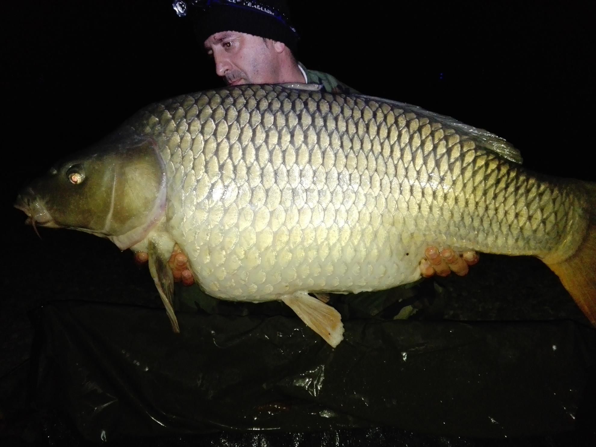 1-5 Octombrie Cetariu - img20161003013455.jpg